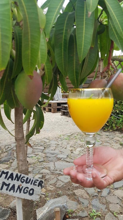Bed and Breakfast Cote De France Fundura Zewnętrze zdjęcie