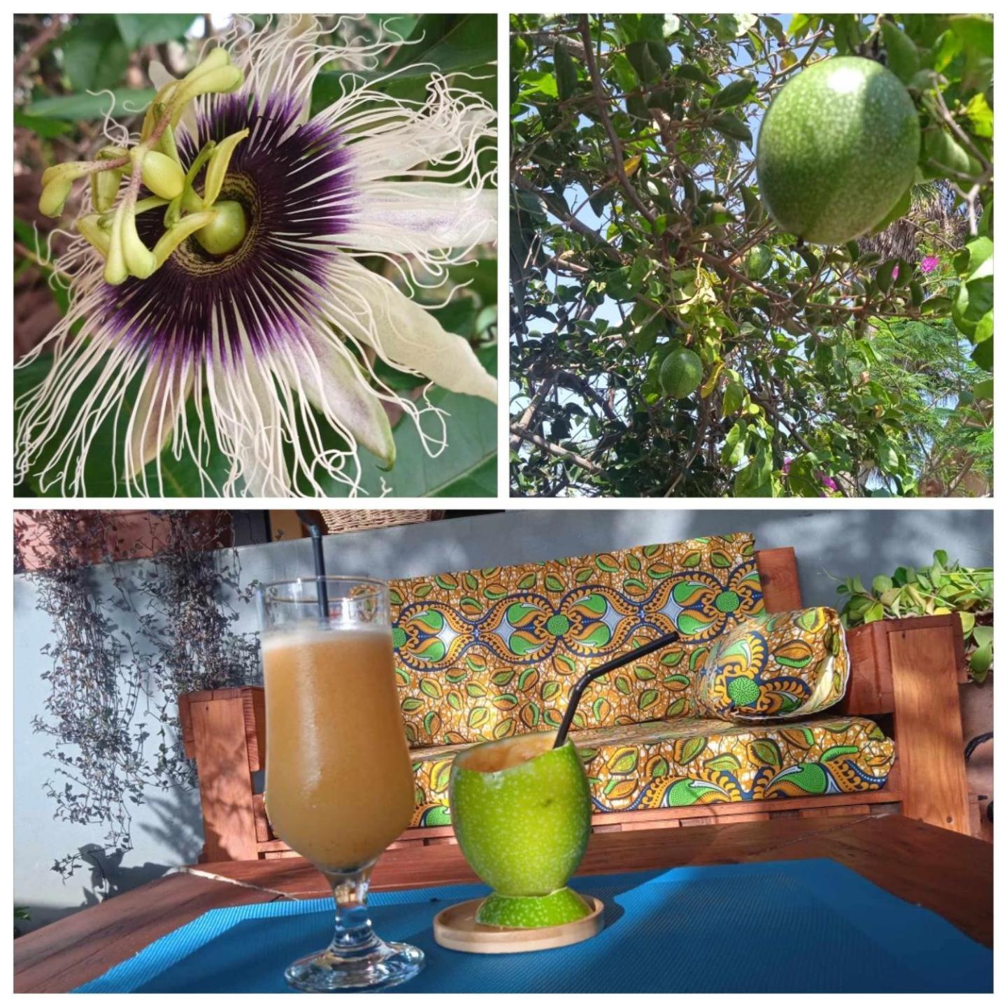 Bed and Breakfast Cote De France Fundura Zewnętrze zdjęcie